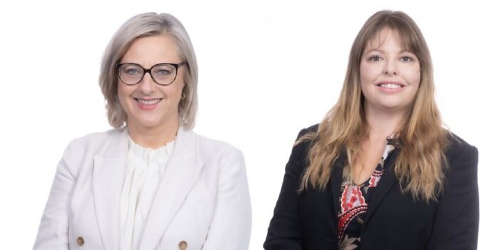 Bowmans strengthens M&A practice in SA