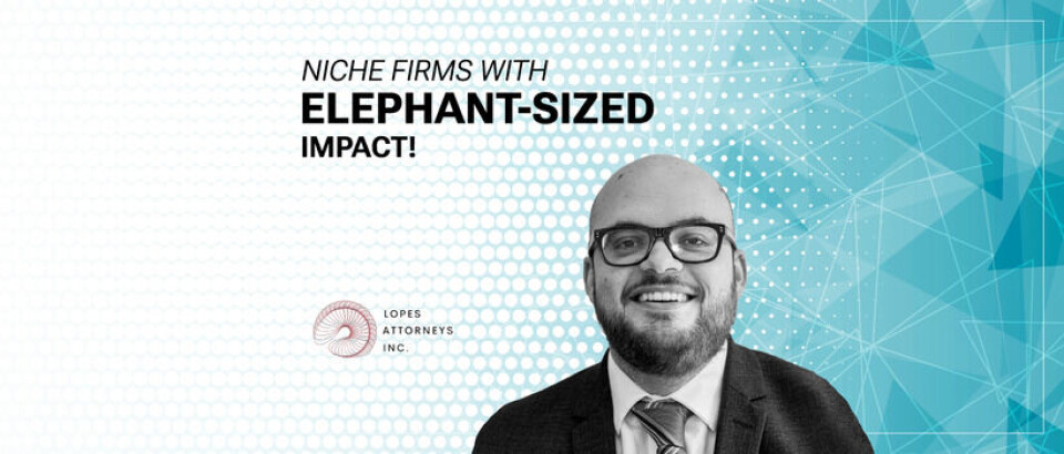Niche firms with elephant-sized impact