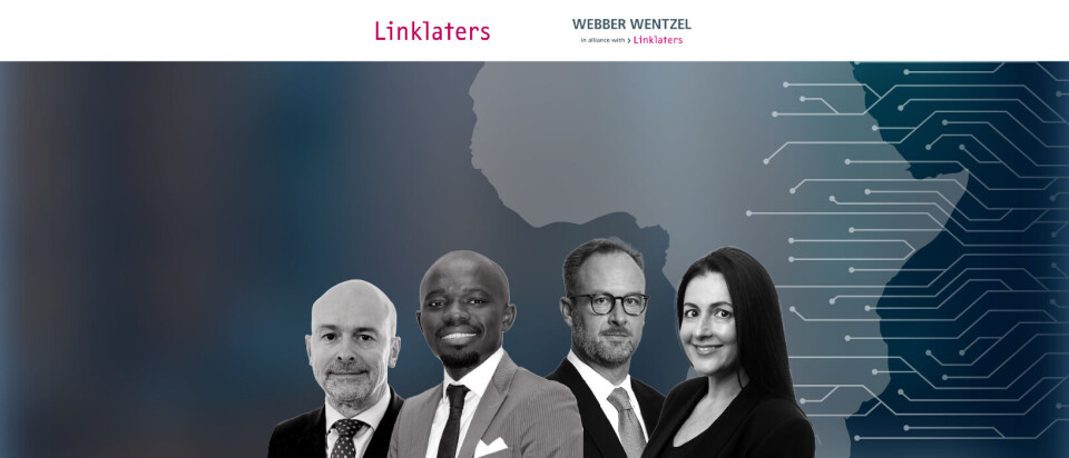 Focus on Francophone Investment Trends