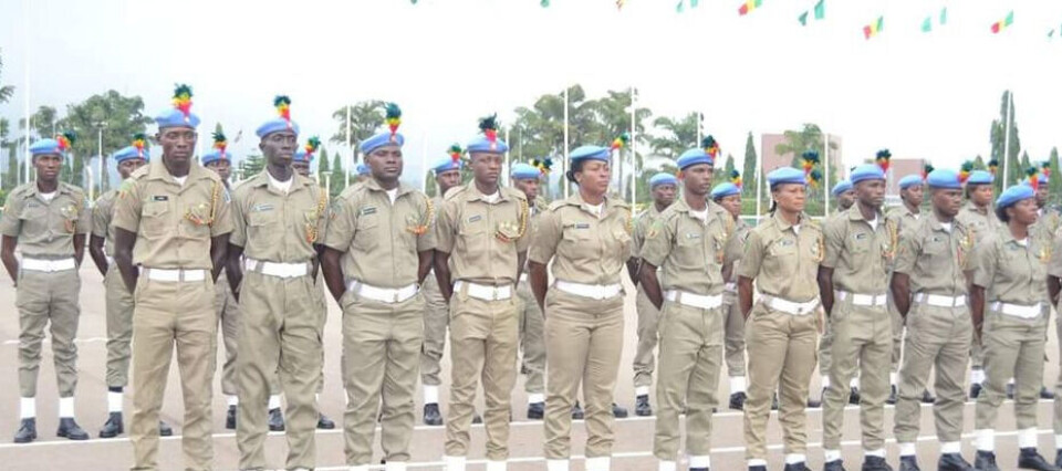 Legal Backing for Peace Corps in Nigeria