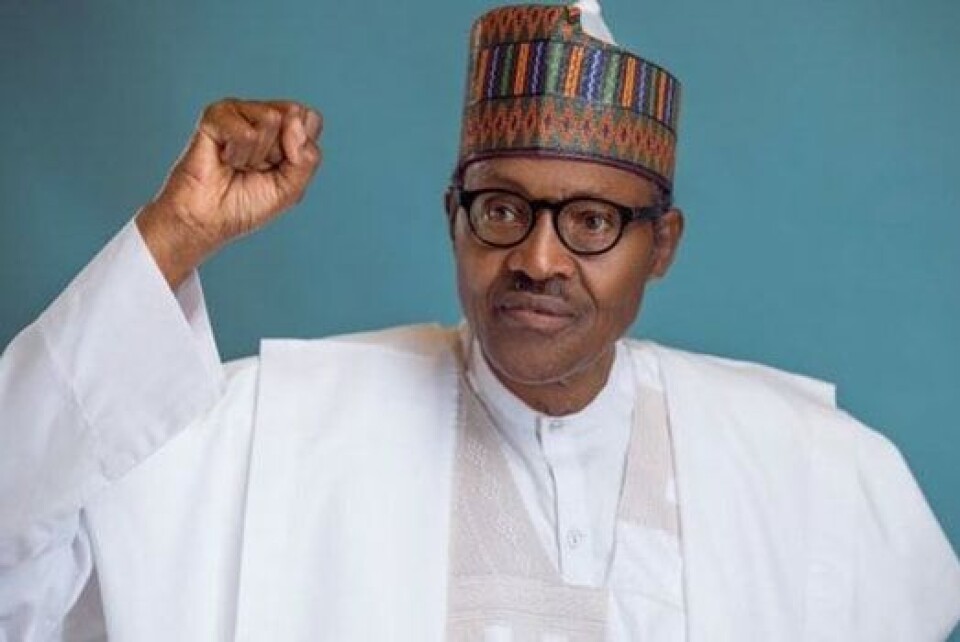 Nigeria Will Score from AfCFTA