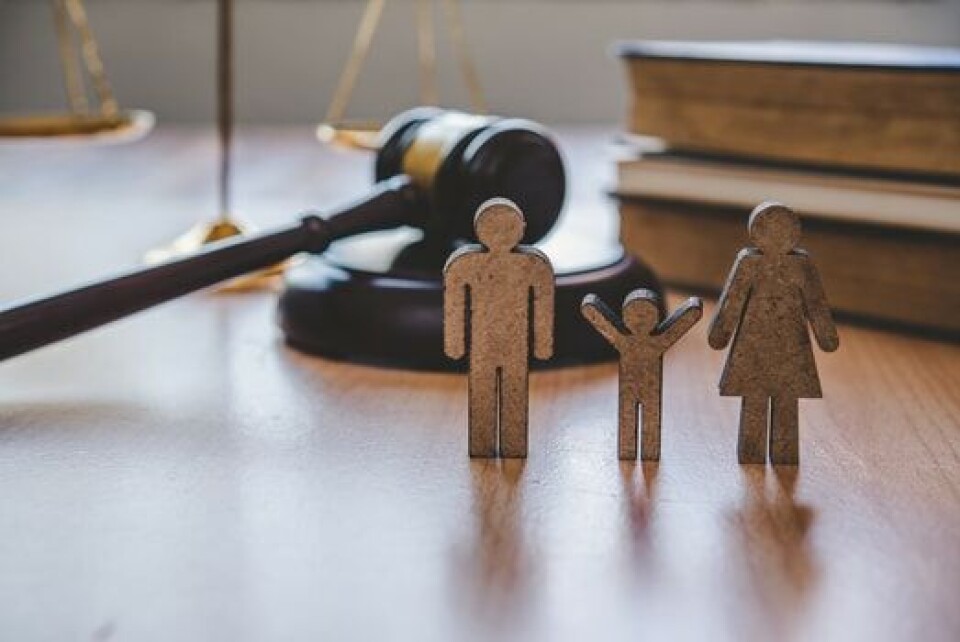 Human Dignity Core in Baby Visa Drama