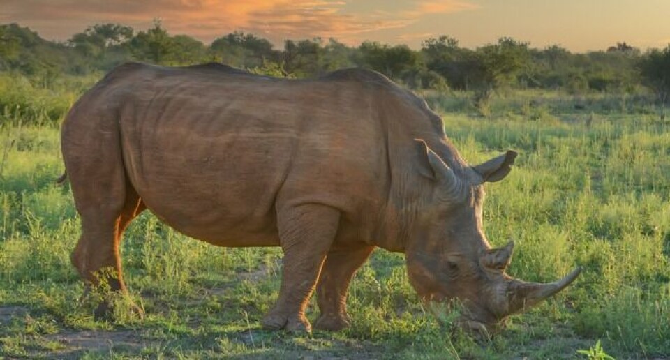 Translating conservation laws destroys barriers