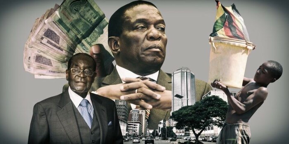 Zim State Capture Report