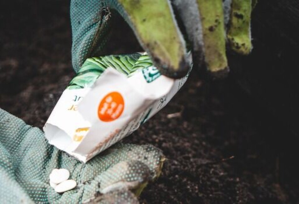 Ending punitive seed laws