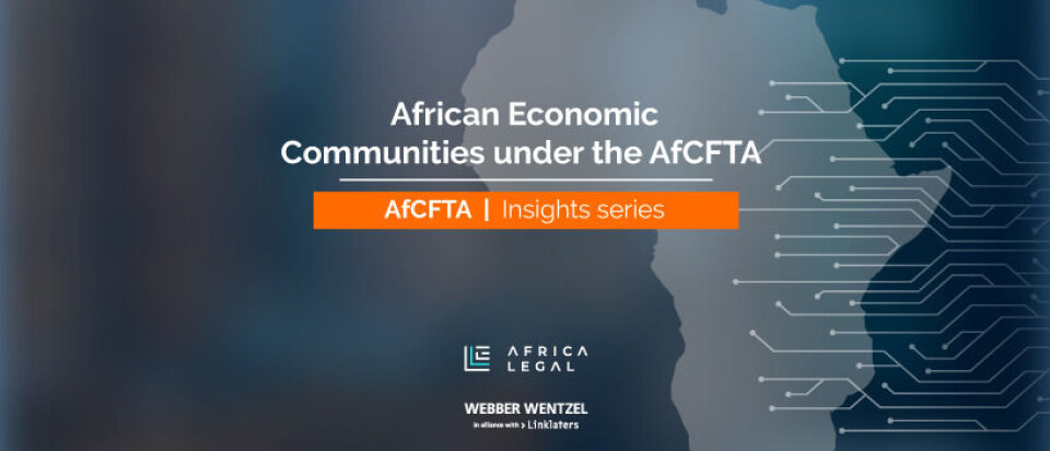 Understanding Africa’s Trade Web