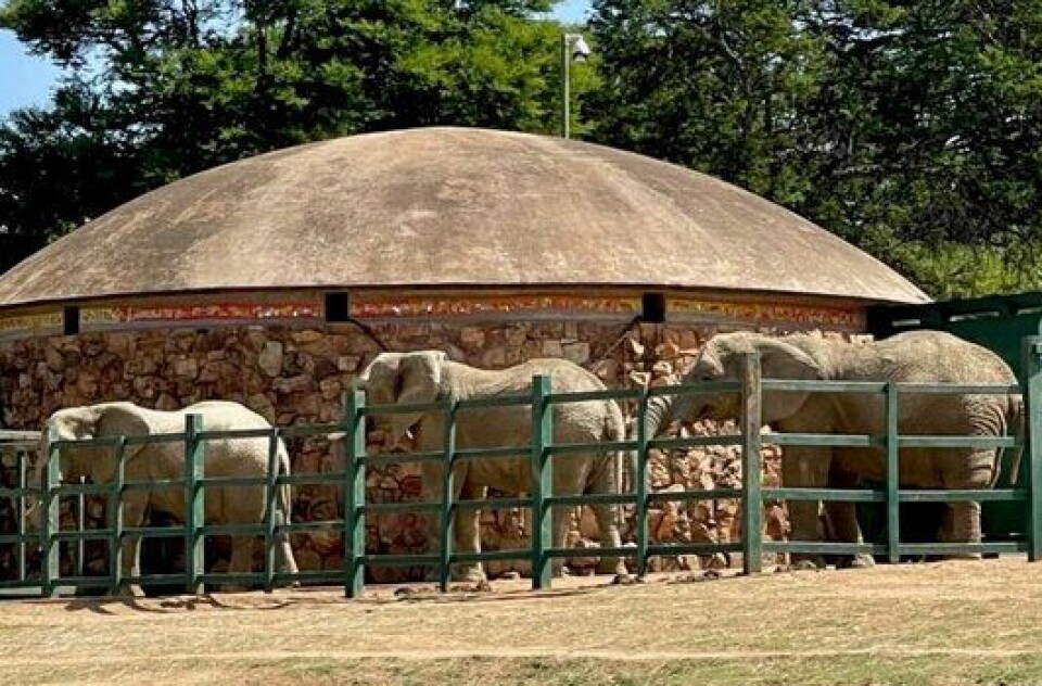 Expanding legal rights to animals