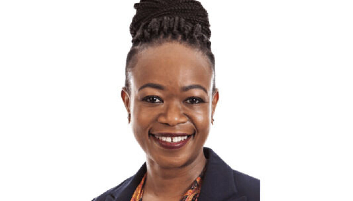 Africa Legal | New partner for Bowmans Private Equity Practice