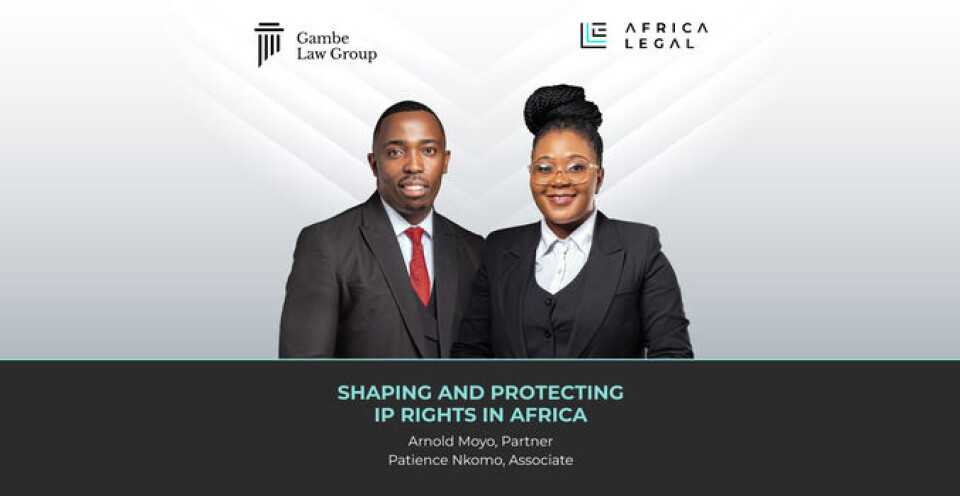Shaping and protecting IP rights in Africa