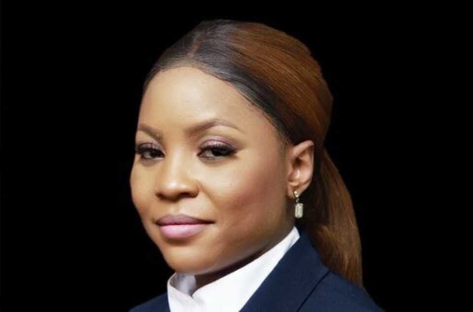Lawyers Can Be Technocrats Who Effect Change