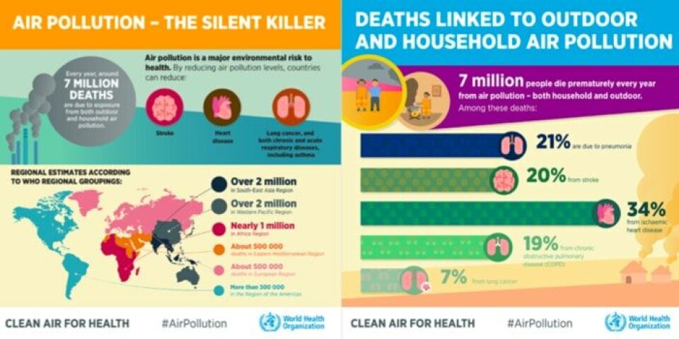 Where Birdsong is Back