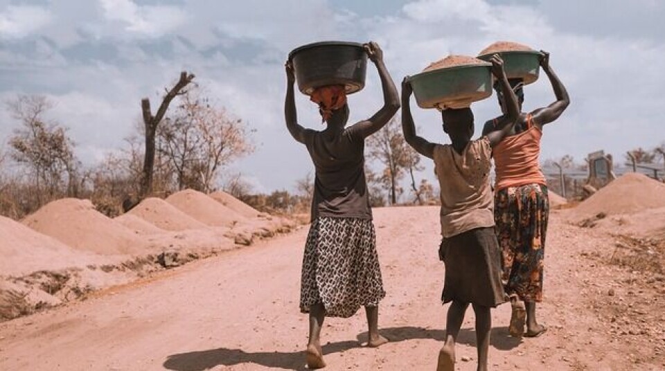 Lawyer calls for moratorium on staple food price increases