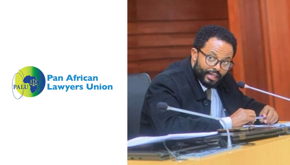 Pan African Lawyers Union to emphasise trade and investment alongside human rights in new term, says new President