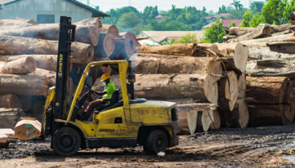 Ghana strengthens EU ties as the first African nation to issue sustainable forestry licenses